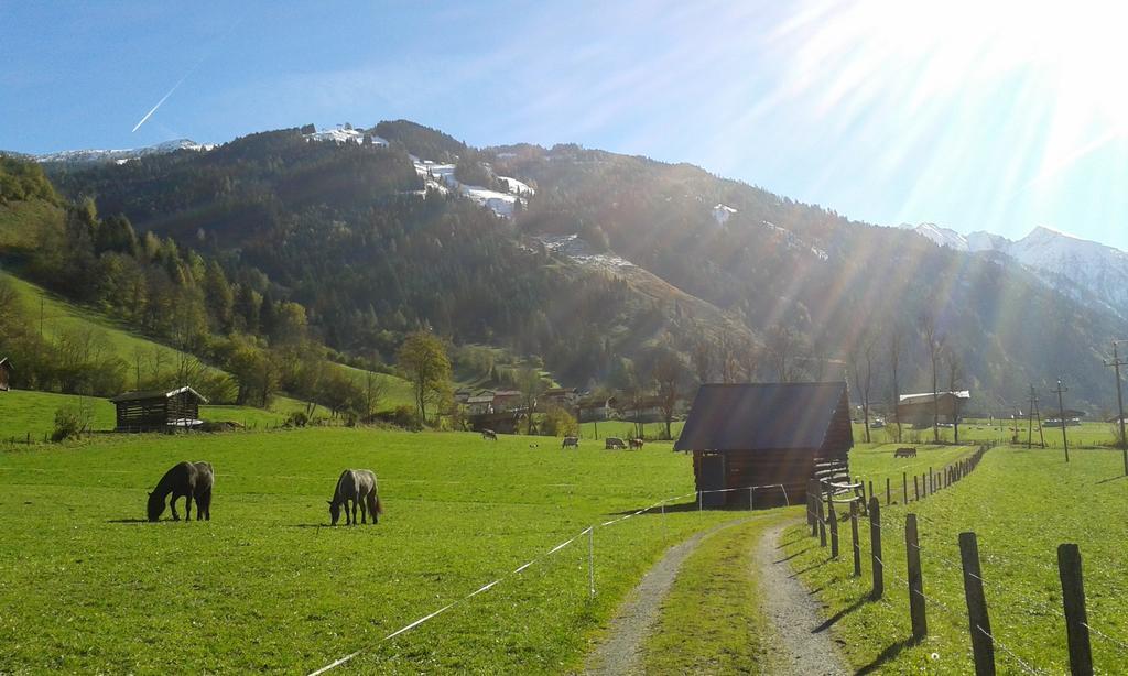 Haus Fankhauser Apartment Dorfgastein Bagian luar foto